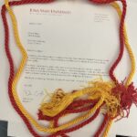 Memis Bilgici Award